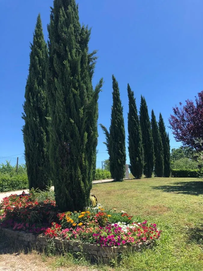 Apartament Il Gufo Del Chianti Montespertoli